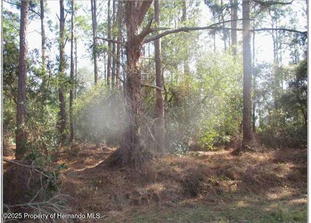 Property at 108 Humphrey Ave, Lake Placid, FL 33852