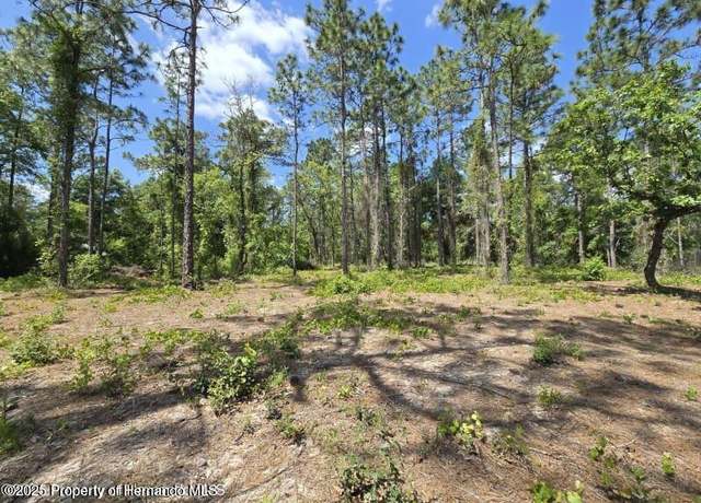 Property at 0 Catbird Rd, Weeki Wachee, FL 34614