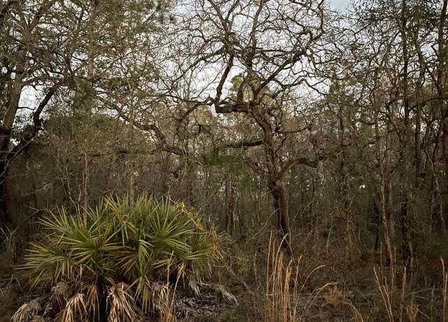 Property at 0 Macassar Rd, Weeki Wachee, FL 34614