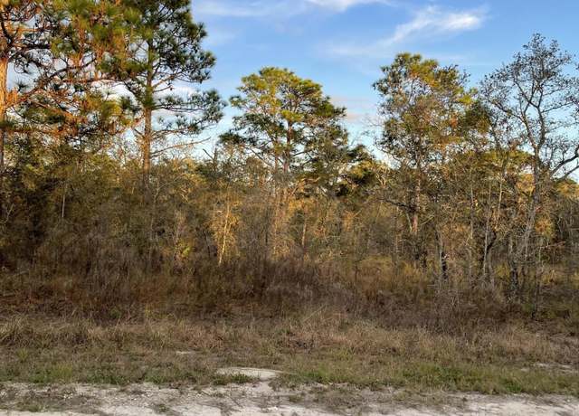 Property at 0 Everglades Kite Rd, Weeki Wachee, FL 34614