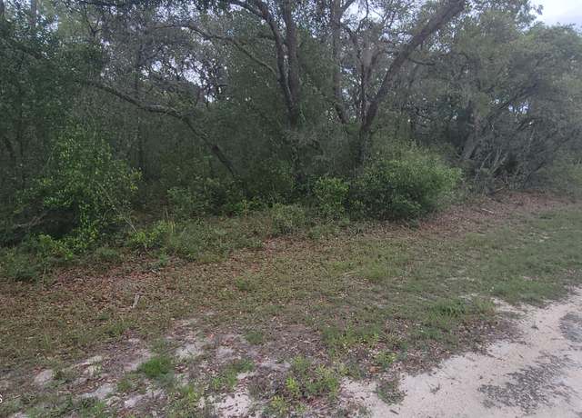 Property at 0 Manuel, Ridge Manor, FL 33597