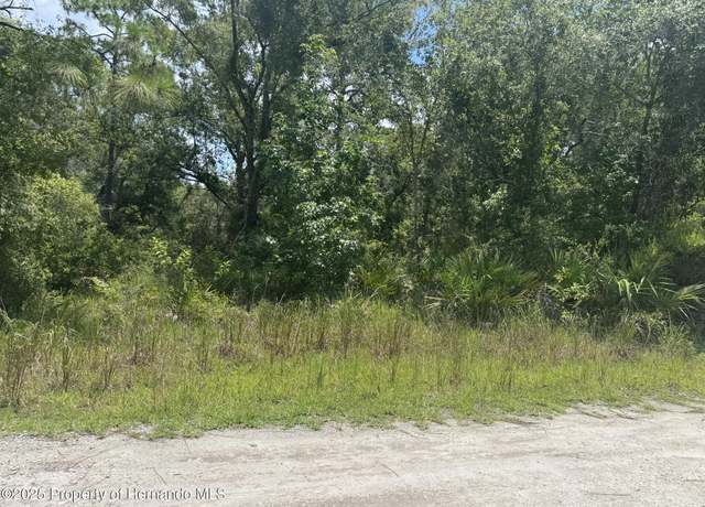 Property at 00 Lisle St, New Port Richey, FL 34653