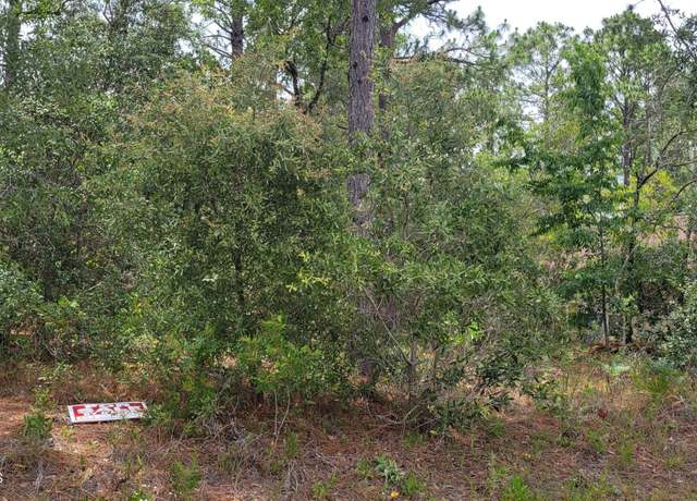 Property at 7062 N Tallwood Dr, Citrus Springs, FL 34434