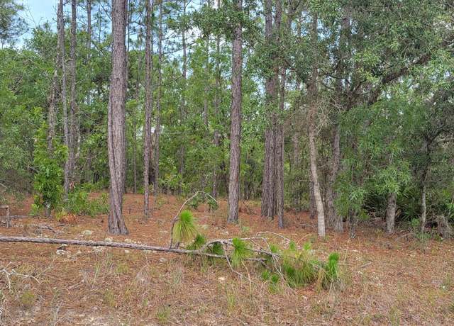 Property at 7253 N Dustin Ter, Citrus Springs, FL 34434
