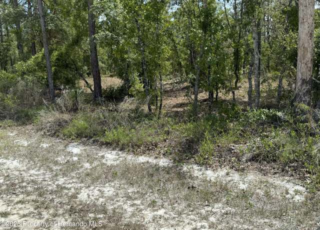 Property at 00 Snow Goose Ave, Brooksville, FL 34614