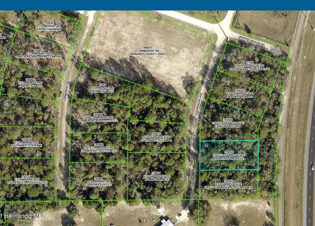 Property at 13412 Cedarwood Ave, Weeki Wachee, FL 34614