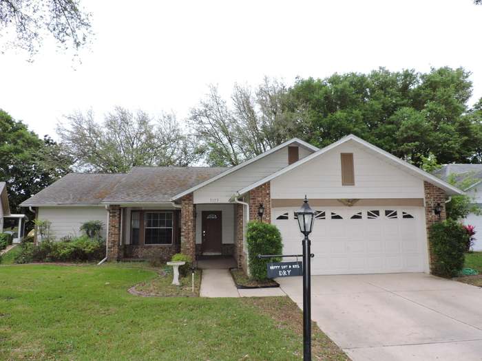 Buy Bottlebrush, For Sale in Orlando, Kissimmee