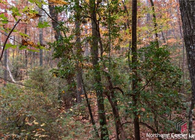 Property at 00 Chimney Mountain Flats Trl, Clarkesville, GA 30523