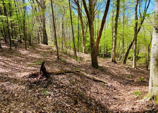 Property at 2B Curry Falls Trail Rd Unit 2B, Athens, GA 30607