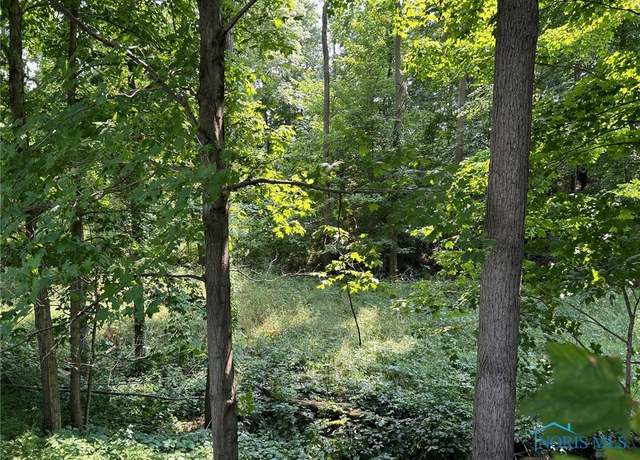 Property at 00 Oh-49, Edon, OH 43518