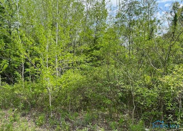 Property at 9957 Angola Rd, Swanton, OH 43558