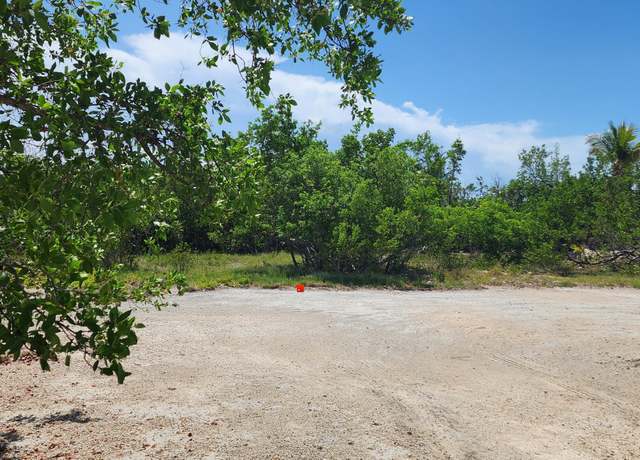 Property at BK 7 LT 5 Coral Way, Big Pine Key, FL 33043