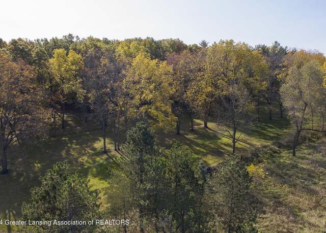 Property at 0 E Centerline Rd, St. Johns, MI 48879