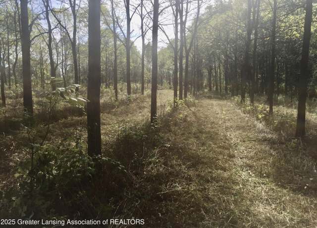 Property at 0 W Solon Rd, Dewitt, MI 48820