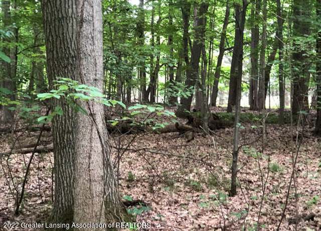 Property at 00 Driftwood Dr, Dewitt, MI 48820