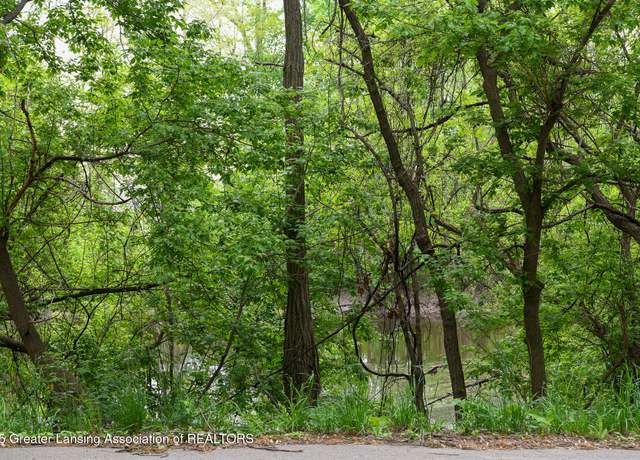 Property at V/L Hollister Rd, Laingsburg, MI 48848