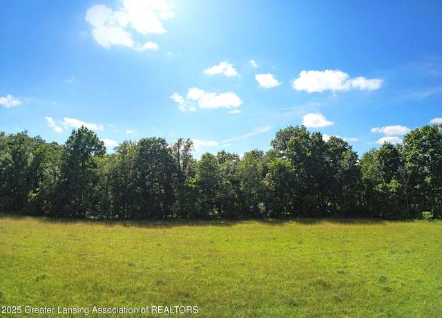 Property at Lot 11 Minix Dr, Stockbridge, MI 49285