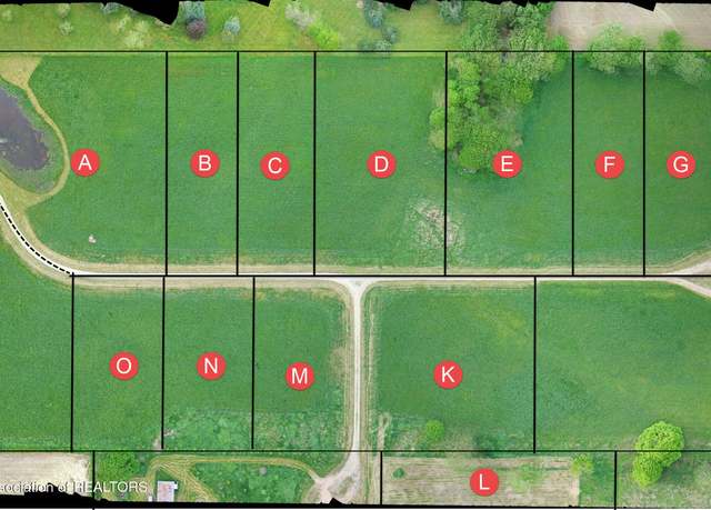 Property at 0 Parcel D, Pinebluff Dr, Charlotte, MI 48813
