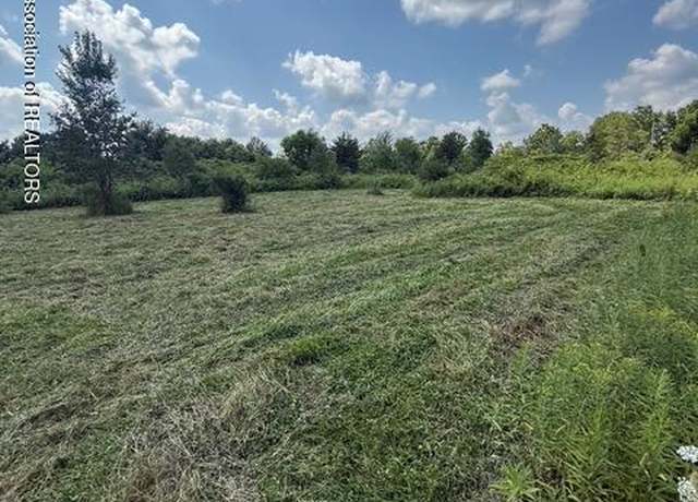 Property at 0 Hall Rd, Bellevue, MI 49021