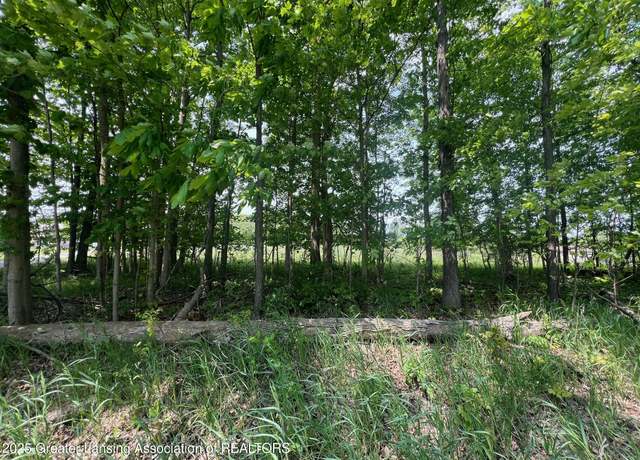 Property at 13592 Forest Hill Rd, Grand Ledge, MI 48837
