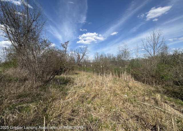 Property at 0 S Bradley Rd, Charlotte, MI 48813
