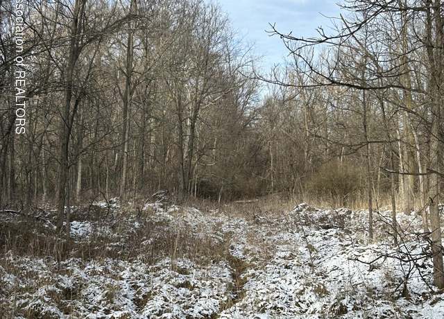 Property at 429 Sumpter St, Charlotte, MI 48813