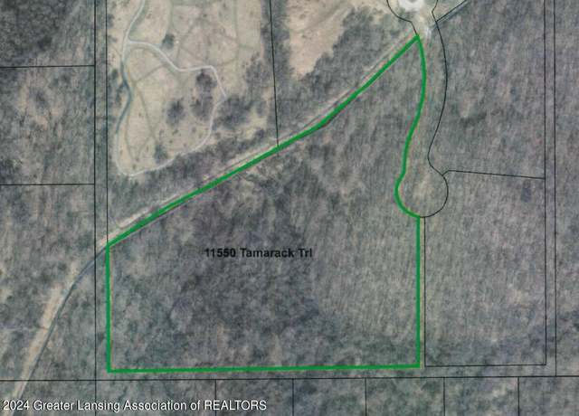 Property at 11550 Tamarack Trl, Bath, MI 48808