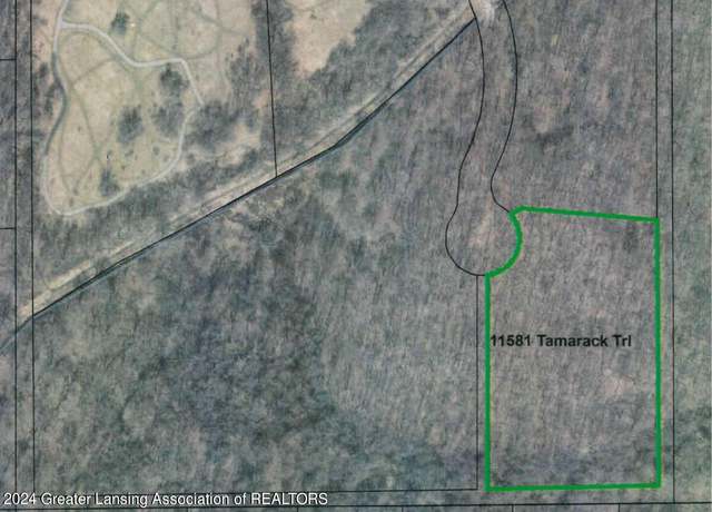 Property at 11581 Tamarack Trl, Bath, MI 48808