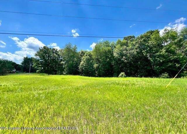 Property at V/L S Shepardsville Rd, Laingsburg, MI 48848