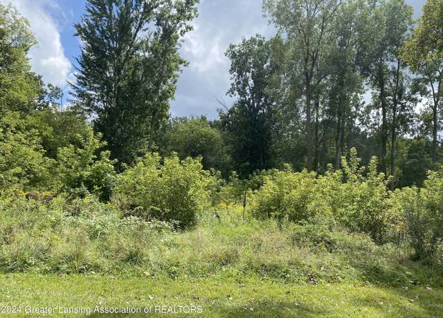 Property at V/L W South - Lot#11 St, Owosso, MI 48867