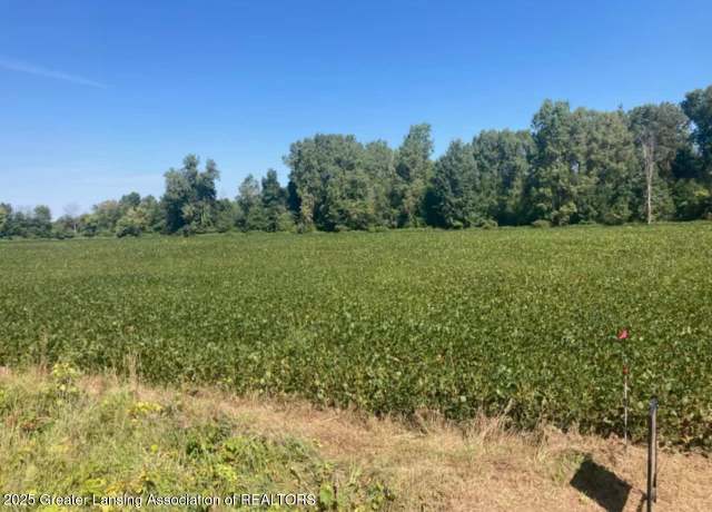 Property at 000 W Huff Rd, Elsie, MI 48831