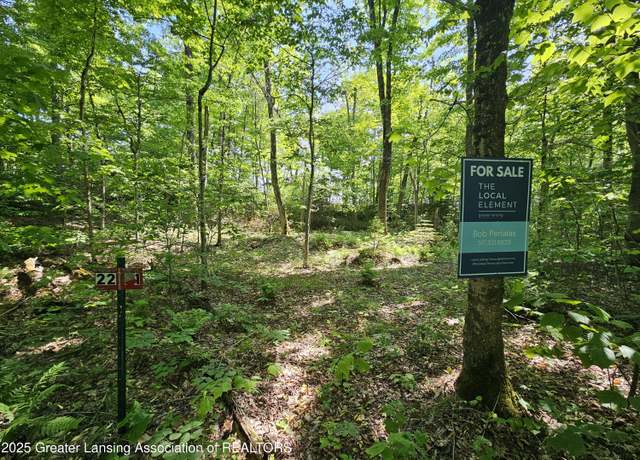 Property at 21 W Wildwood Ln, Moran, MI 49760