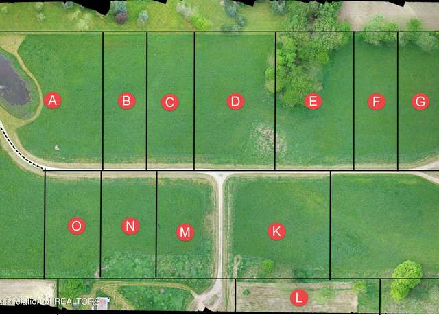 Property at 0 Parcel C, Pinebluff Dr, Charlotte, MI 48813
