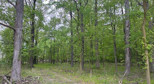 Photo of 0 W Hyde Rd, St. Johns, MI 48879