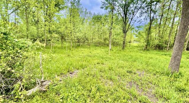 Photo of Parcel B Willow, Lansing, MI 48917