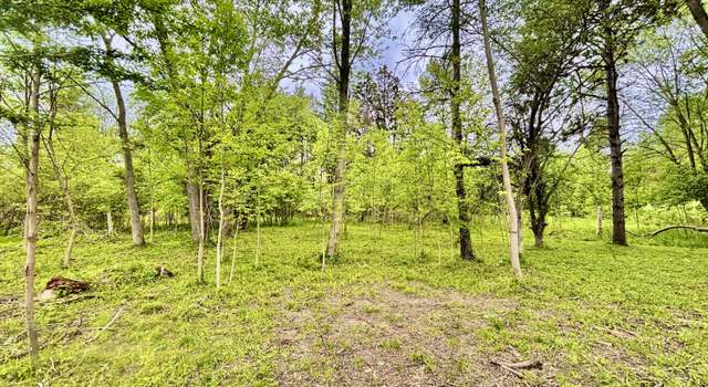 Photo of Parcel B Willow, Lansing, MI 48917