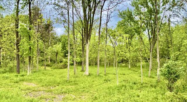 Photo of Parcel C Willow, Lansing, MI 48917