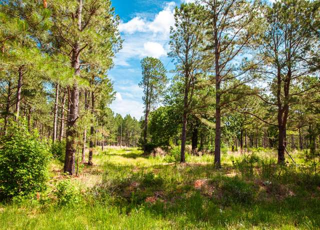 Property at 7175 BILL DORN, Appling, GA 30802