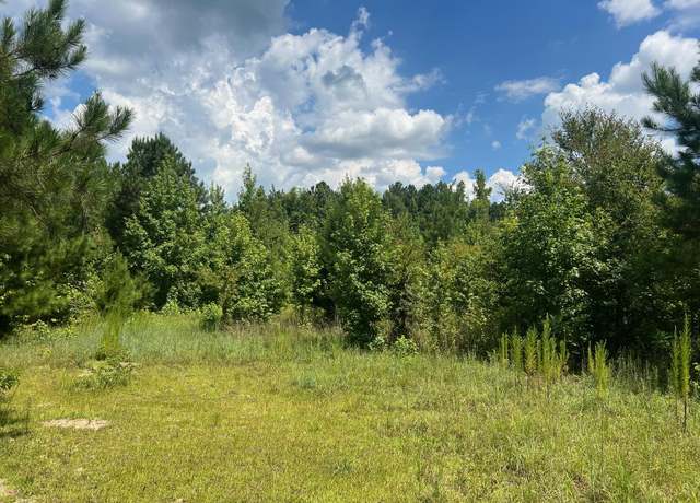 Property at 0 Thomson, Warrenton, GA 30828