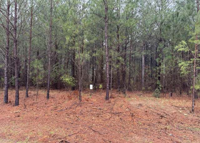 Property at 1060 LONGLEAF, Lincolnton, GA 30817