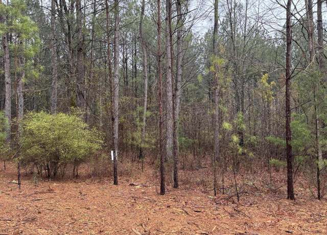 Property at 1094 LONGLEAF, Lincolnton, GA 30817