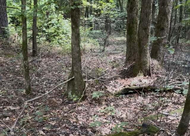 Property at 0 Walker Rd, Edgefield, SC 29824