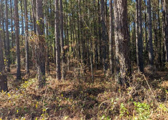 Property at 541 BENT KNEE, Keysville, GA 30816