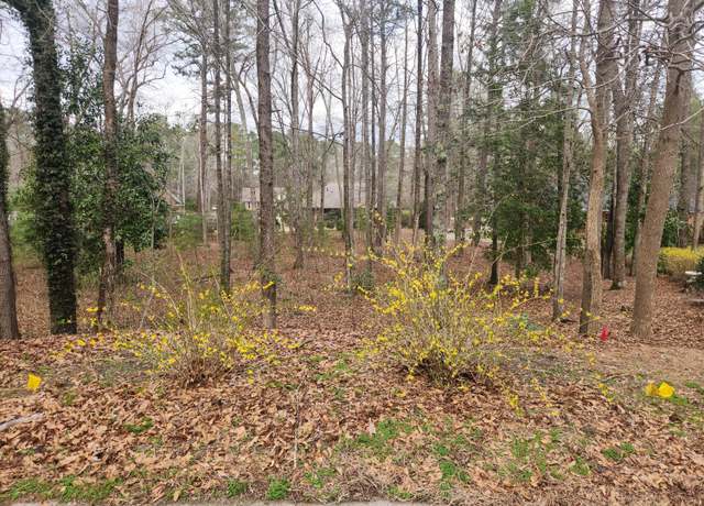 Property at 138 CHELESA Ct, Aiken, SC 29803