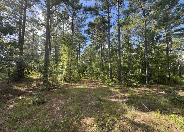Property at 33ac Cross Crk, Edgefield, SC 29824