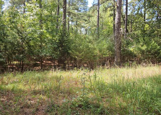 Property at 0 DOUBLE BRANCHES, Lincolnton, GA 30817