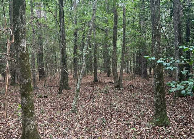 Property at 0 HWY 80, Gibson, GA 30810
