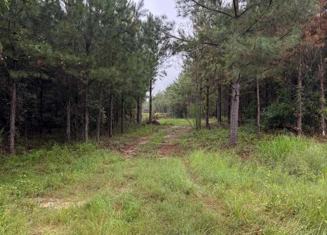 Property at 0 Highway 23, Waynesboro, GA 30830