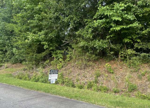 Property at 0 SKYLINE, GA