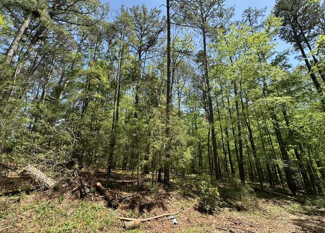 Property at B30  L2 PAR, Mccormick, SC 29835